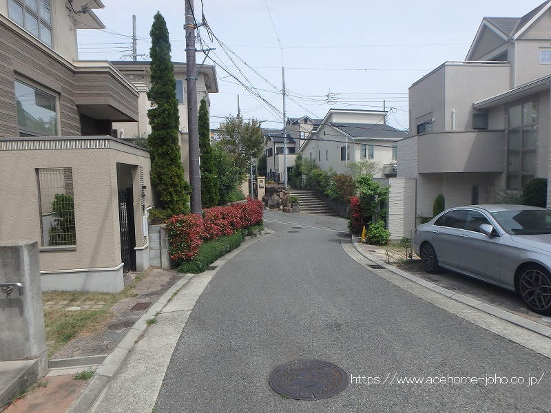 東側公道から北へ望む