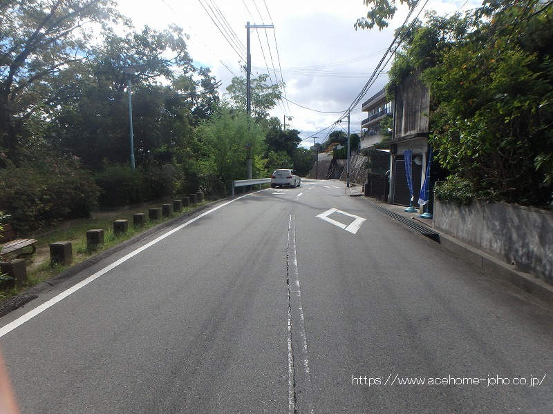 東側公道から南へ望む