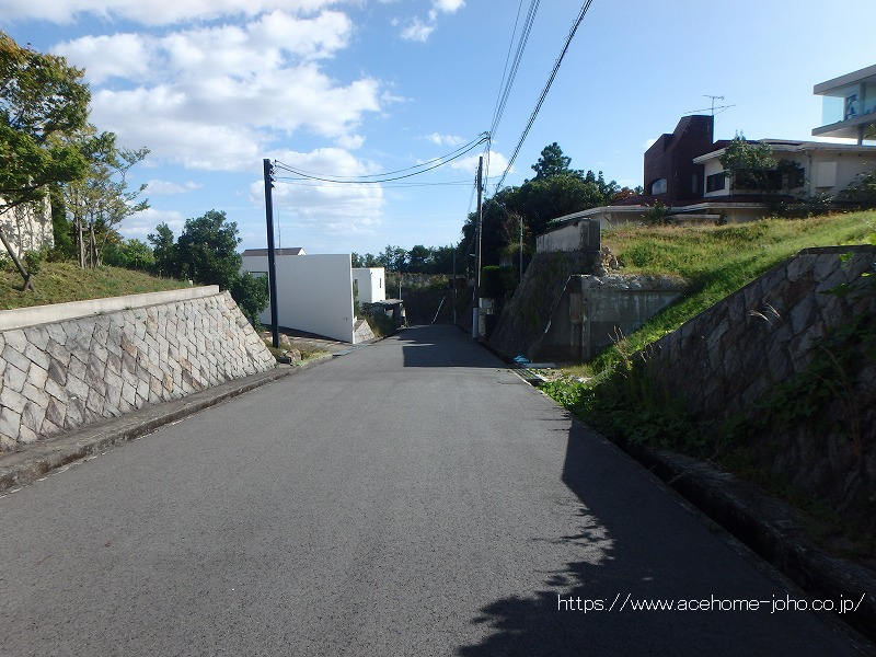 東側公道から南へ望む