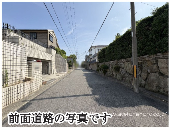 西側公道から南へ望む