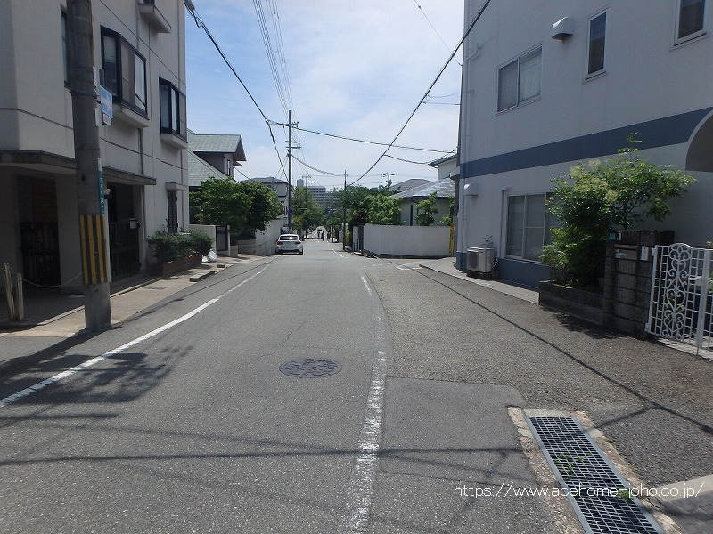 東側公道から南へ望む