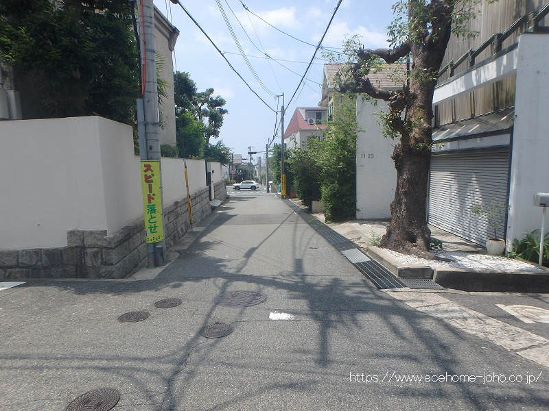 東側公道から南へ望む