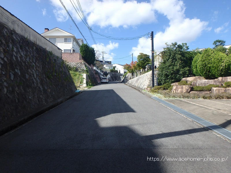 東側公道から北へ望む