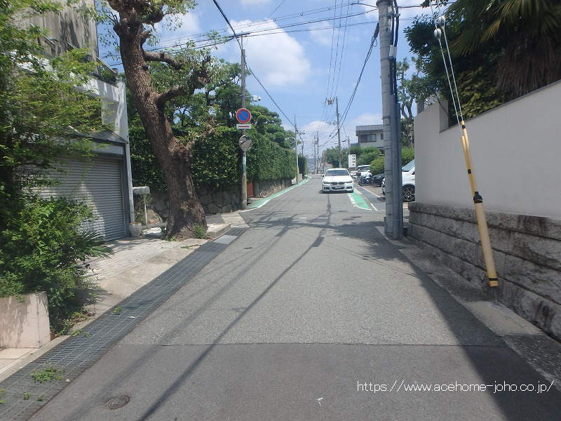 東側公道から北へ望む