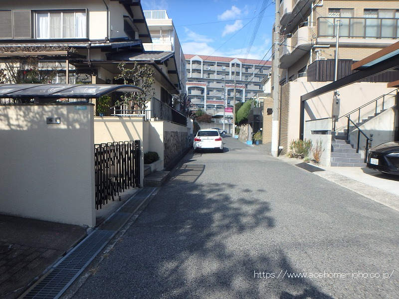 東側公道から北へ望む