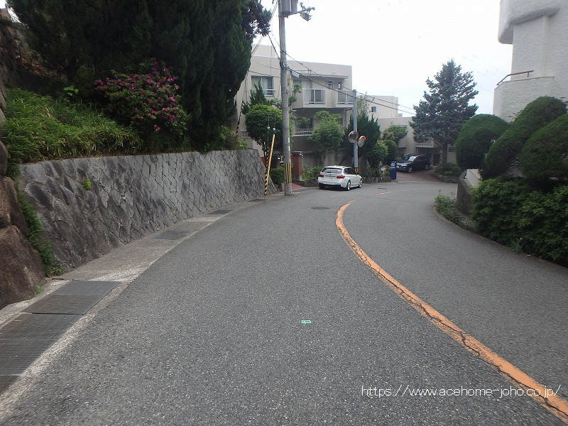 南西側公道から南東へ