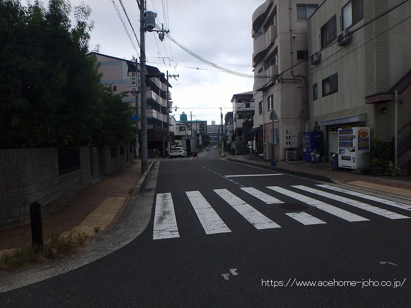 西側公道から南へ望む