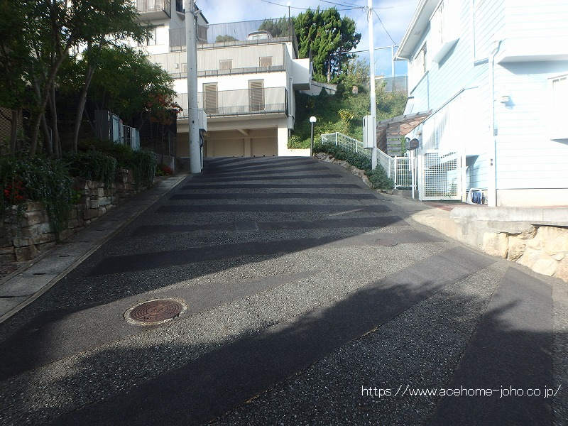 東側公道から北へ望む