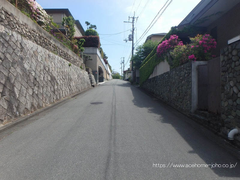 北側公道から東へ望む