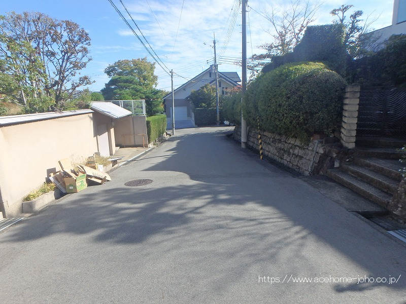 南側公道から東へ望む