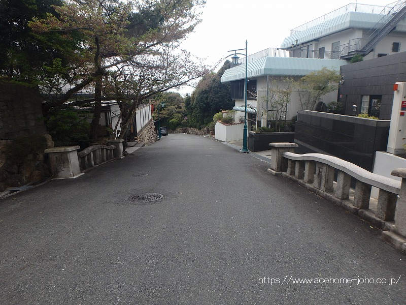 東側公道から南へ望む