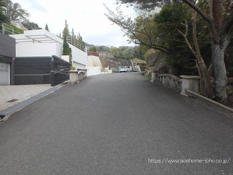 東側公道から北へ望む