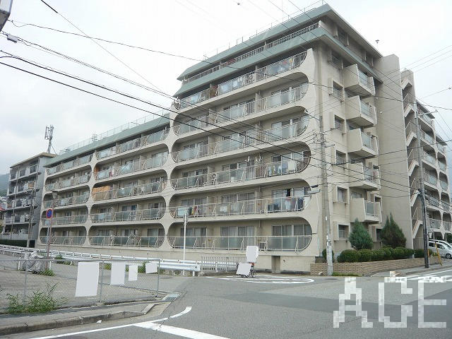 27427画像
