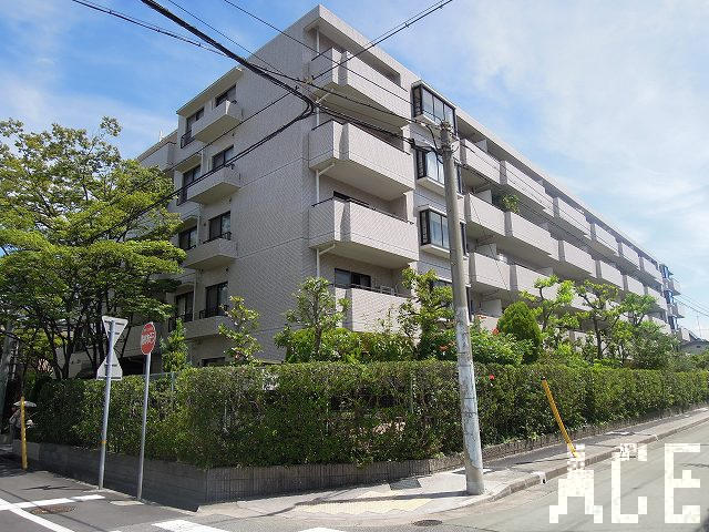 27442画像