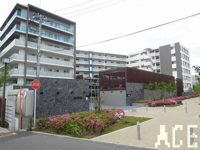 27445画像