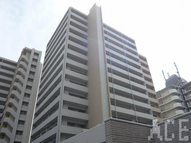 27446画像