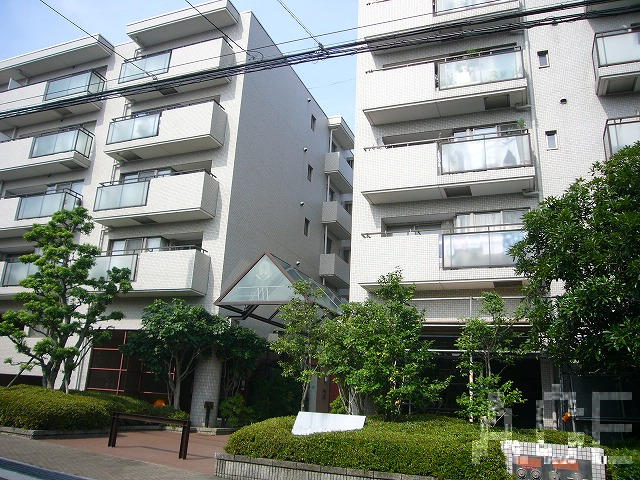 27454画像