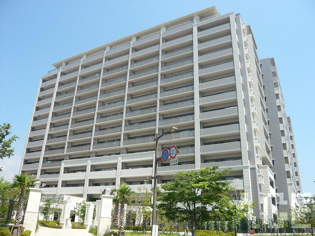 27455画像