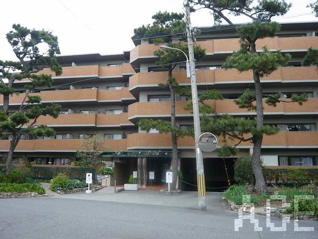 27467画像