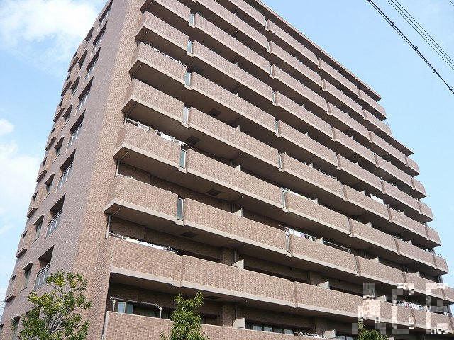 27491画像