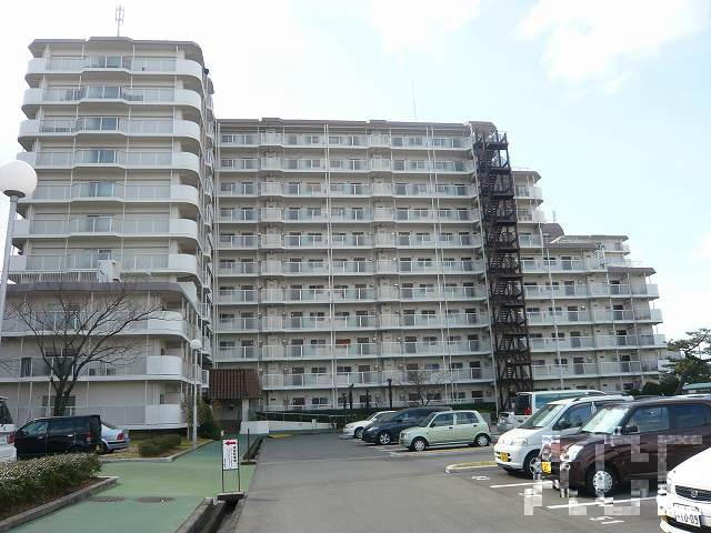27505画像