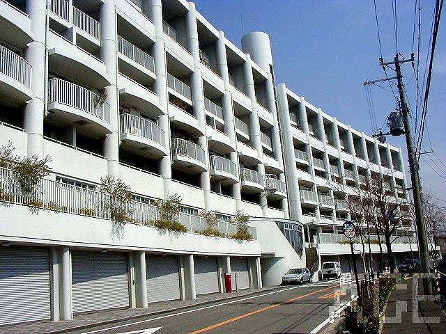 27508画像