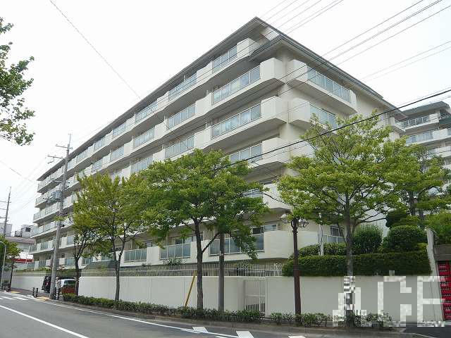 27520画像