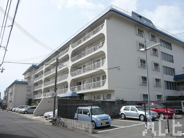 27688画像