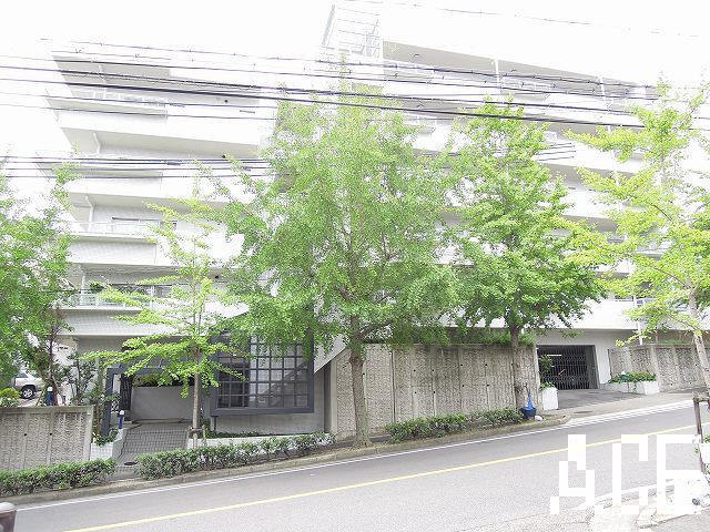 27694画像