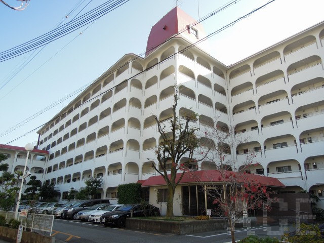 27699画像