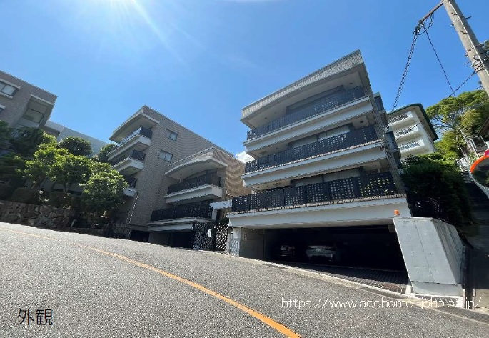 27703画像