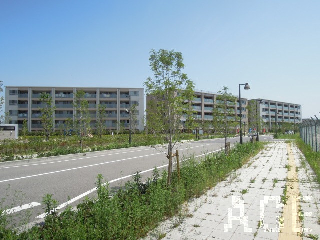27704画像