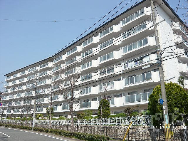 27866画像