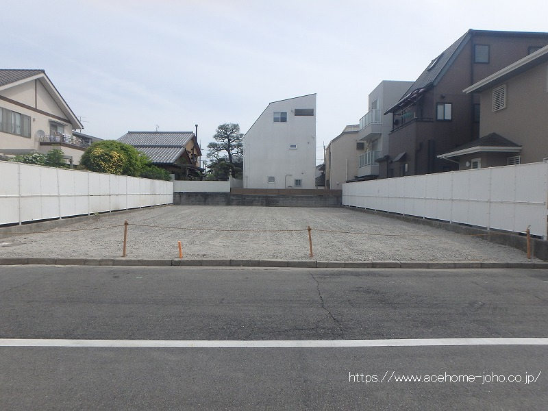 27447画像