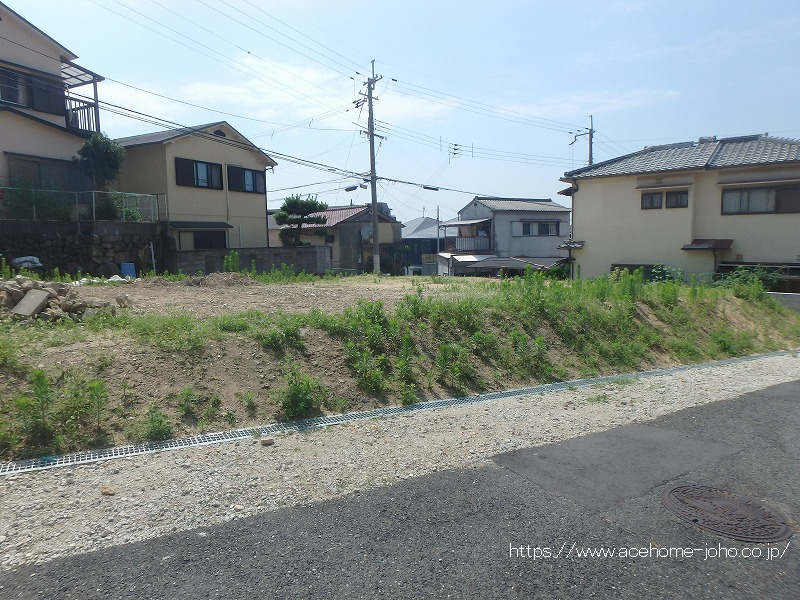 27650画像