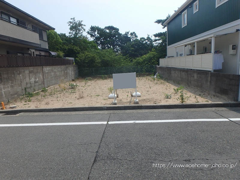 27674画像