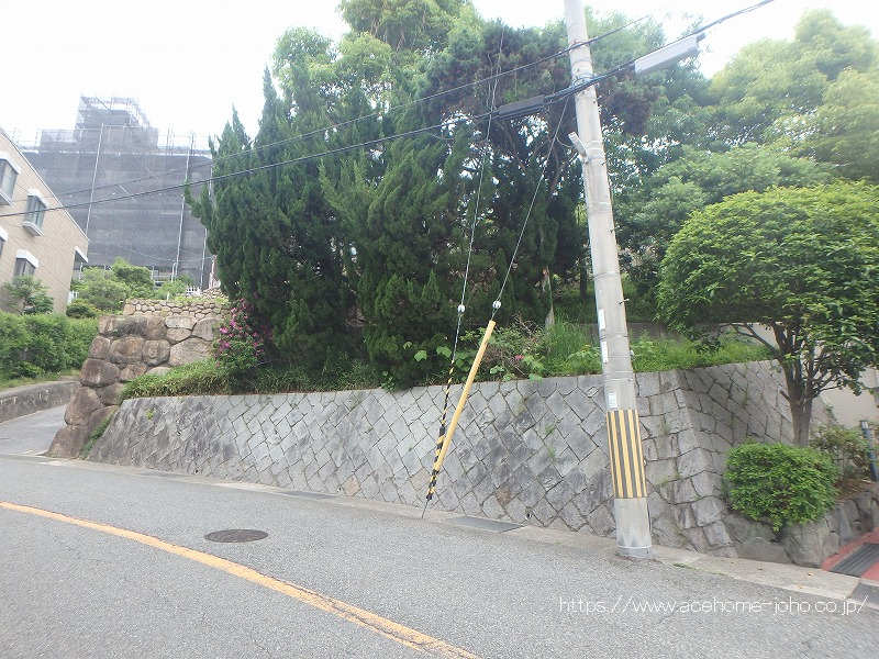 南側より
