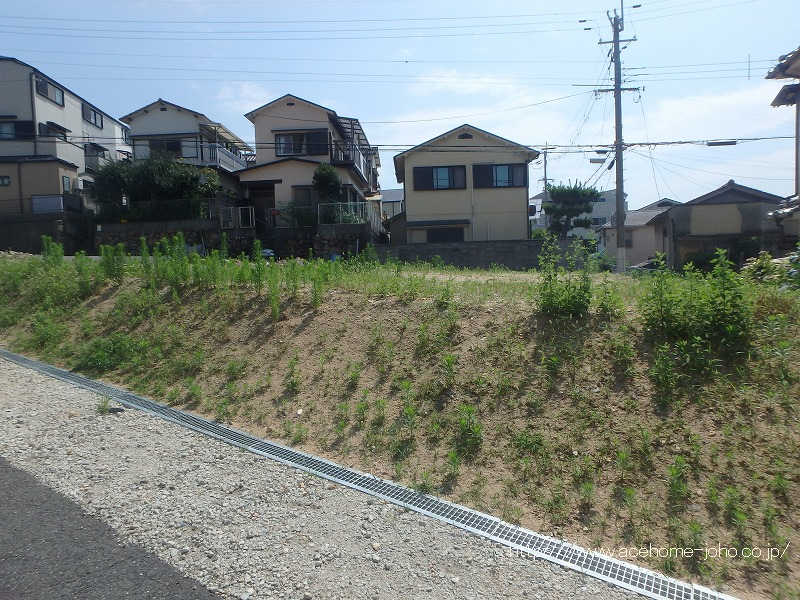 南西側より