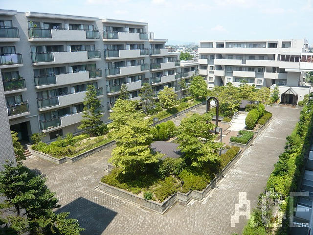 中庭