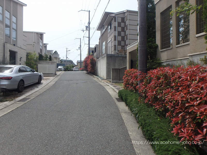 東側公道から南へ望む
