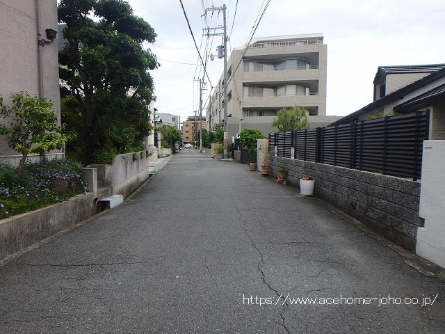 東側公道から南へ望む