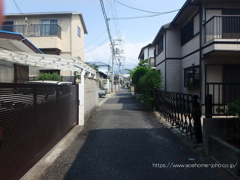 西側公道から南へ望む