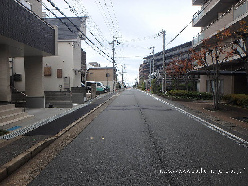 西側公道から南へ望む