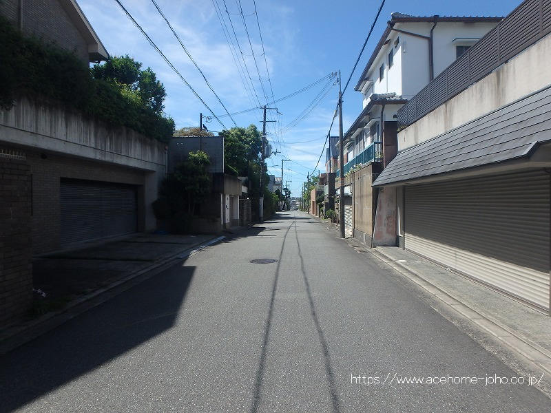 西側公道から南へ望む